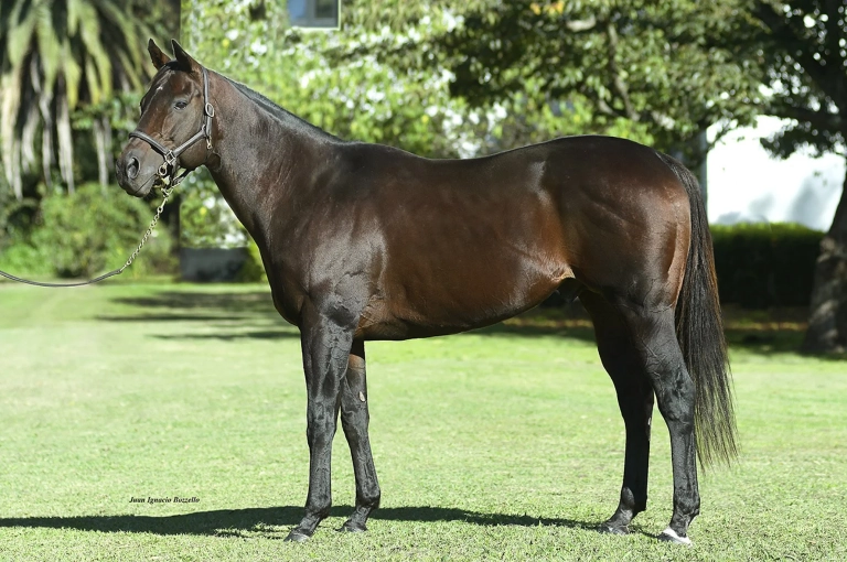 Foto: Ignacio Bozzello